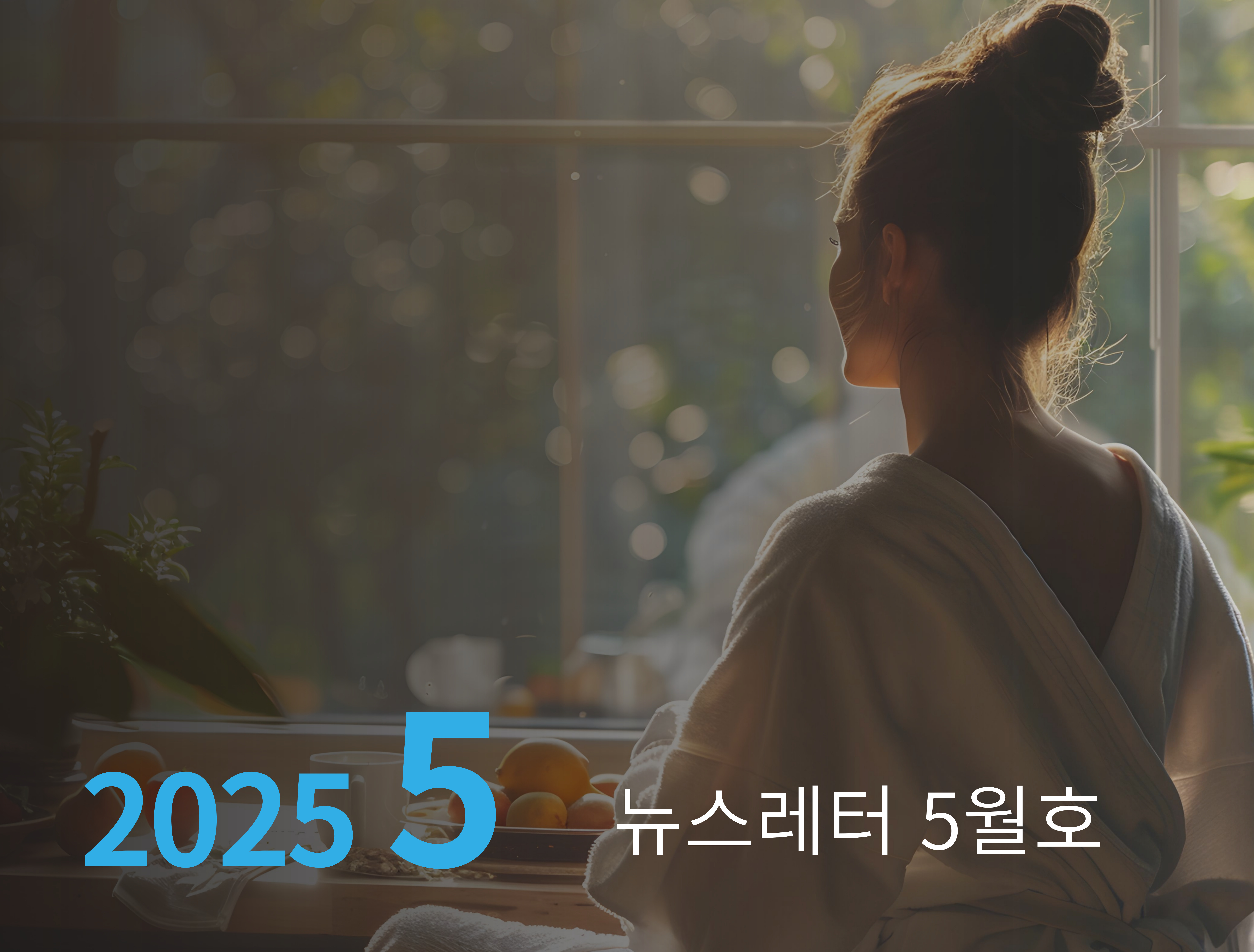 뉴스레터