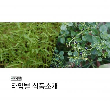 M타입체험후기