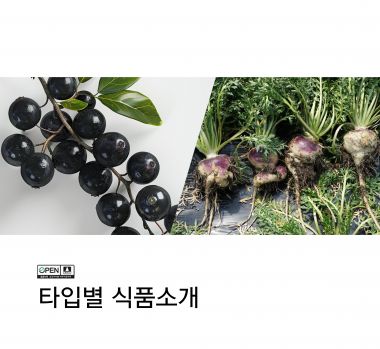 M타입체험후기