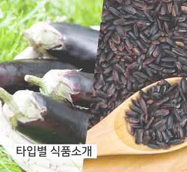 타입별식품소개