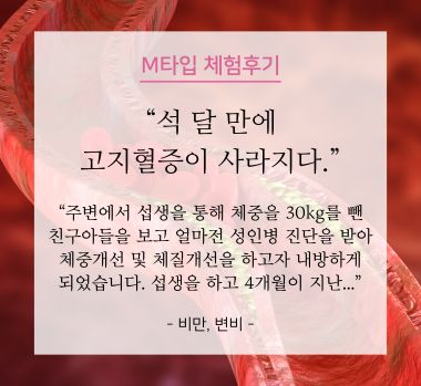 M타입체험후기