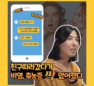 S타입체험후기