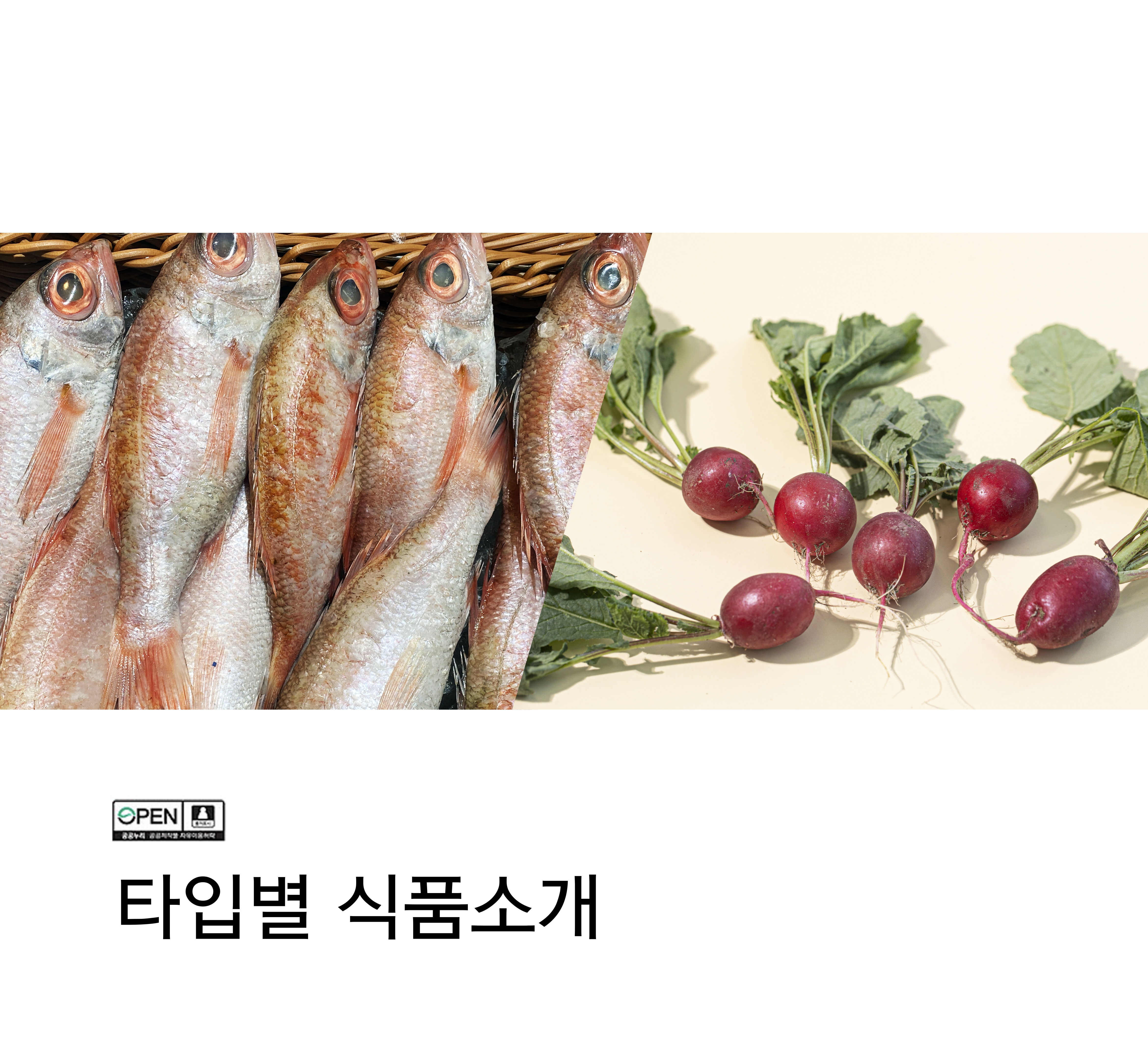 타입별식품소개