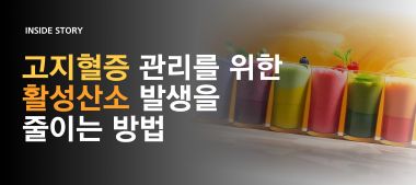 인사이드스토리