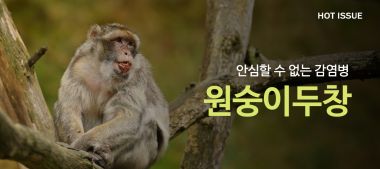 이달의핫이슈