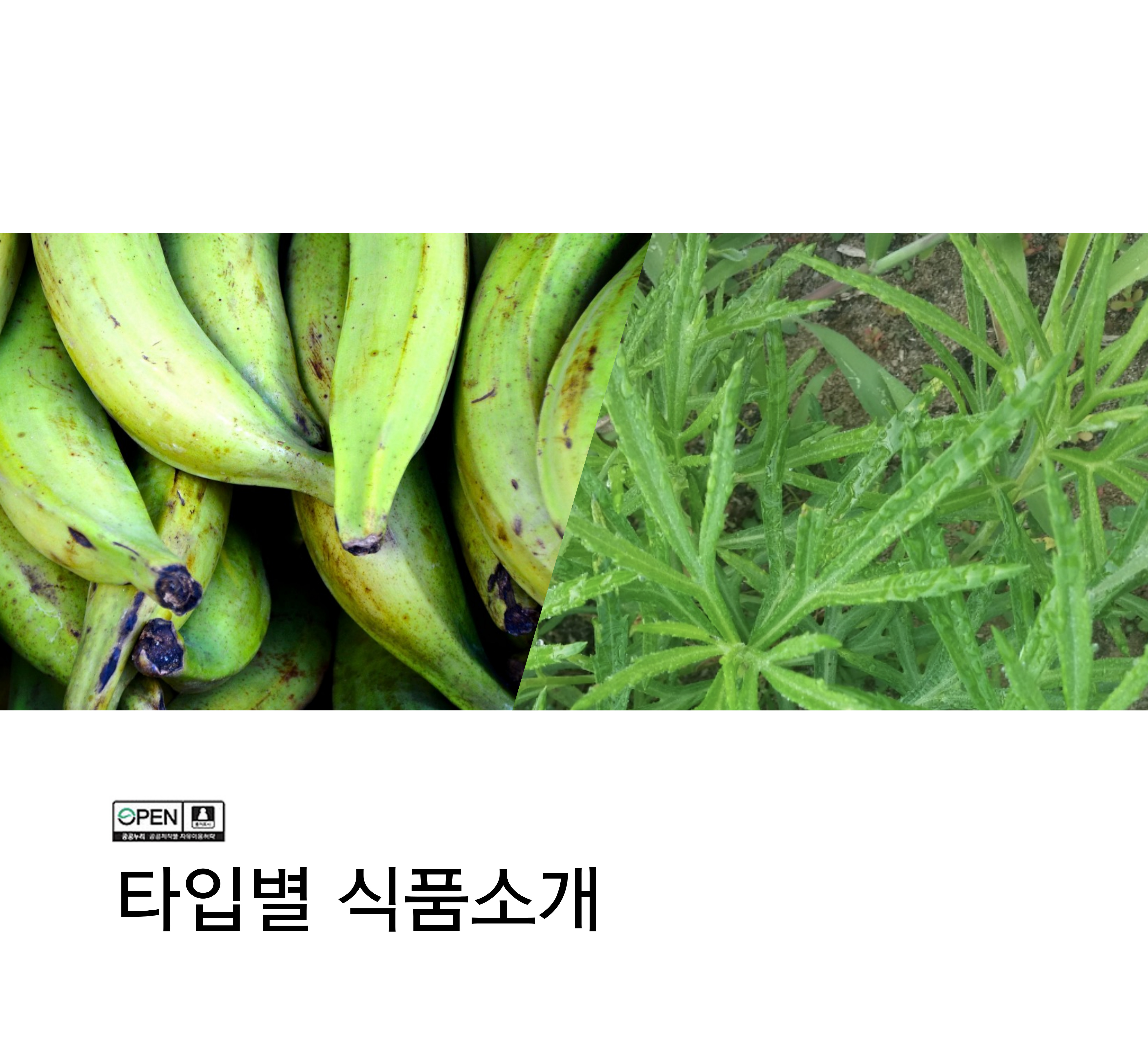 타입별식품소개