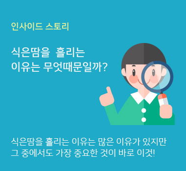 인사이드스토리