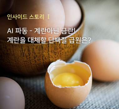 인사이드스토리