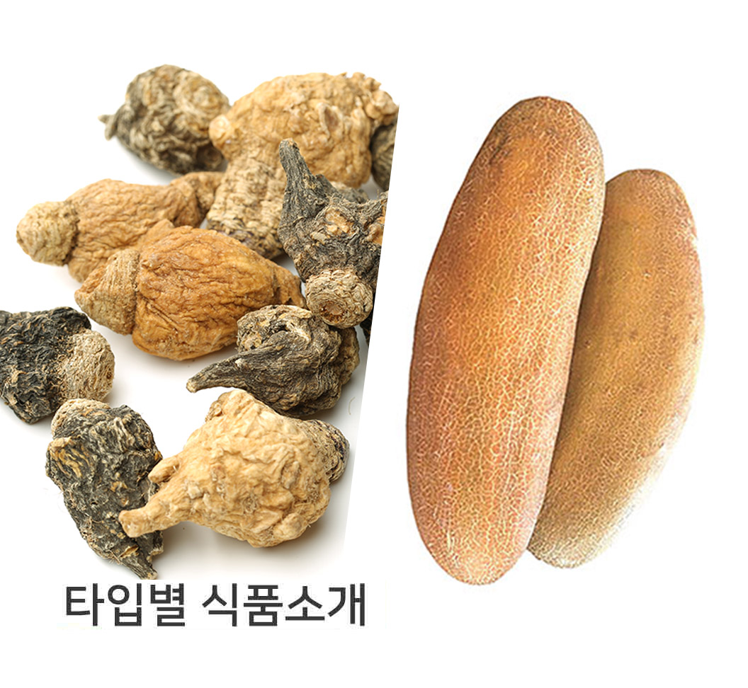 타입별식품소개